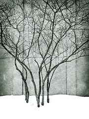 Image showing Grungy image of winter park with trees