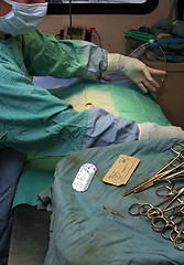 Image showing Surgeon preparing for surgery