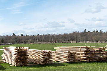 Image showing Heaps of drying planks