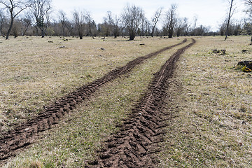 Image showing Tractor tracks at springtime