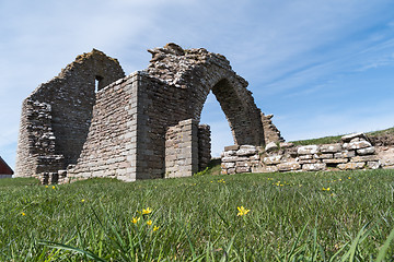 Image showing Spring flowers by a ruin