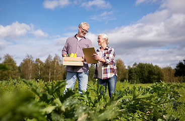 Image showing happy senior couple with squashes at farm