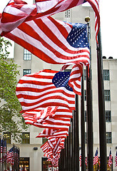 Image showing Row of American flags