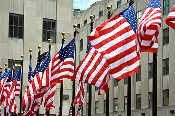 Image showing A row of American flags