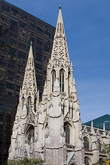 Image showing St. Patrick Cathedral