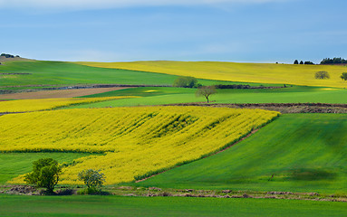 Image showing Portuguese Rustic Landscape