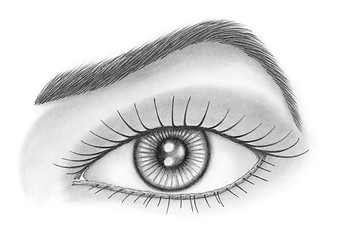 Image showing Eye and brow over white background