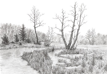 Image showing Grassy swamp with stream and trees