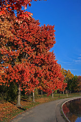 Image showing Fall scenery