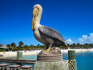 Image showing Pelican Stature