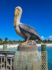 Image showing Pelican Statue