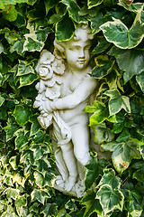 Image showing Statue with Leaves