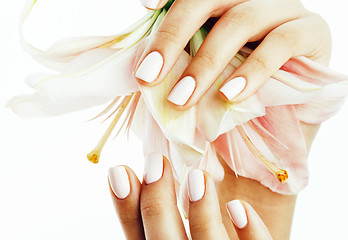 Image showing beauty delicate hands with manicure holding flower lily close up isolated on white