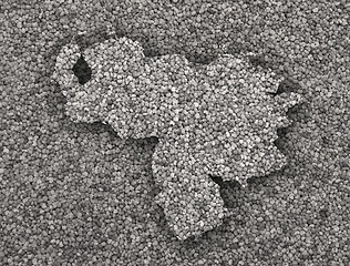 Image showing Map of Venezuela on poppy seeds