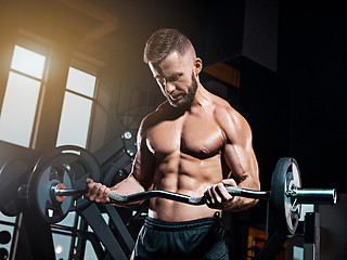 Image showing Portrait of super fit muscular young man working out in gym with