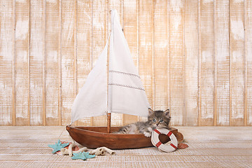 Image showing Cute Kitten in a Sailboat With Ocean Theme