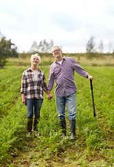 Image showing happy senior couple at summer farm