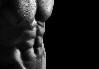 Image showing The torso of attractive male body builder on black background.