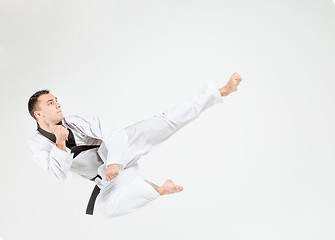 Image showing The karate man with black belt