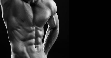 Image showing The torso of attractive male body builder on black background.