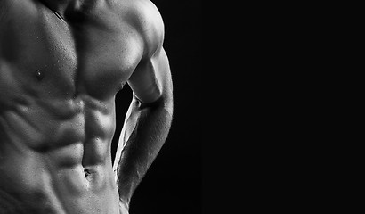 Image showing The torso of attractive male body builder on black background.