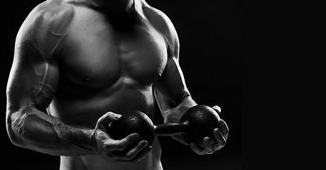 Image showing The torso of attractive male body builder on black background.