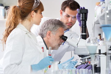 Image showing Health care researchers working in scientific laboratory.