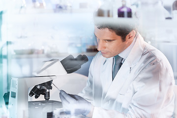 Image showing Life scientist researching in the laboratory.