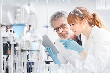 Image showing Health care researchers working in scientific laboratory.