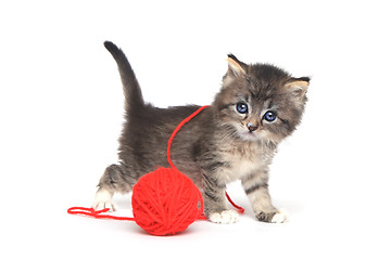 Image showing Tiny Kitten Playing With Red Ball of Yarn