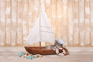 Image showing Cute Kitten in a Sailboat With Ocean Theme