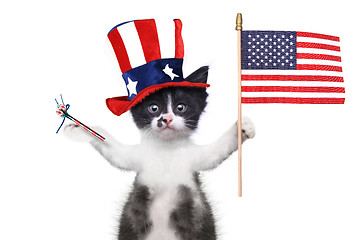 Image showing Funny Kitten Celebrating the American Holiday 4th of July