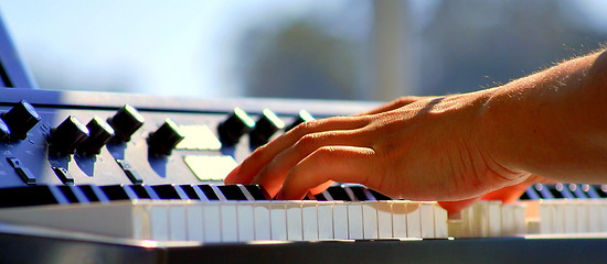 Image showing Piano player.