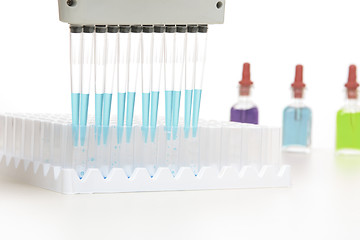 Image showing Scientist using pipette in research