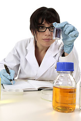 Image showing Researcher at work