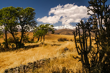 Image showing Cordillera Negra in Peru