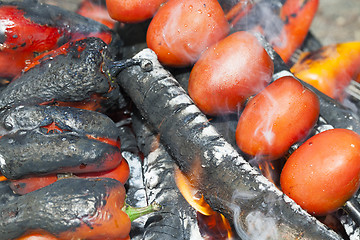 Image showing preparing to fire pepper