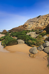 Image showing Green stones on the seashore