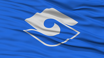 Image showing Closeup of Shizuoka Flag, Capital of Japan Prefecture