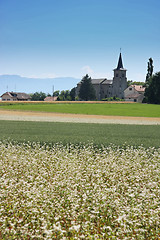 Image showing Country church