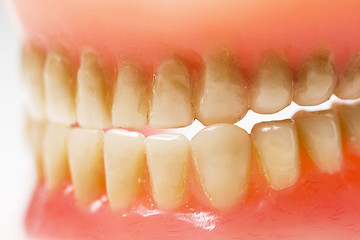 Image showing dirty dental plate