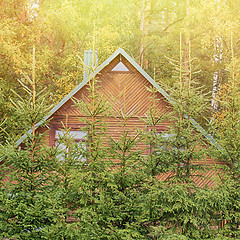 Image showing Wooden house in the forest