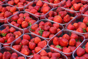 Image showing Fresh strawberries