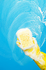 Image showing Window cleaner with foam sponge
