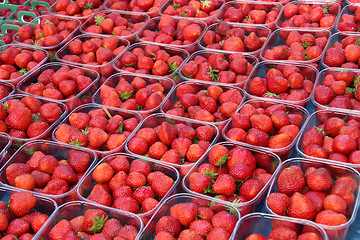 Image showing Fresh strawberries