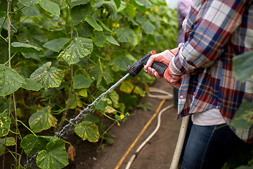 Image showing farmer with garden hose watering at greenhouse