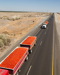 Image showing Roma Tomato Truckloads Travel Via Semi-Truck to Market