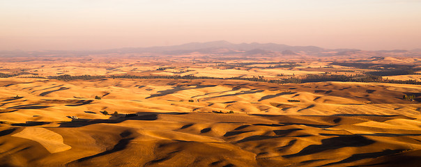 Image showing Rolling Hills Agricultural Land Palouse Region Eastern Washingto