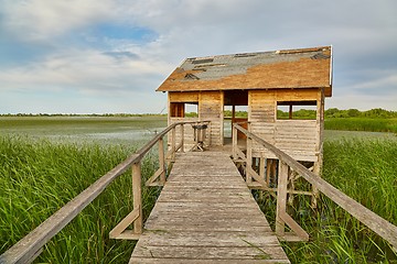 Image showing Swamp walking path