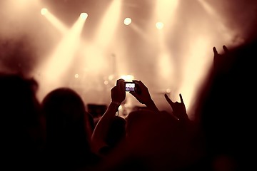 Image showing Concert Crowd View